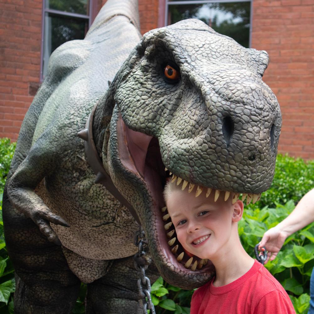 Garrett Yeaw, 6, is very trusting of Bruce, a dinosaur who made an appearance in Marion this June to kick-off summer reading with the Elizabeth Taber Library. Photo by Sawyer Smook-Pollitt